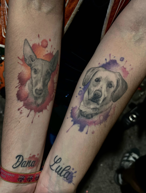tatuajes curados de perros